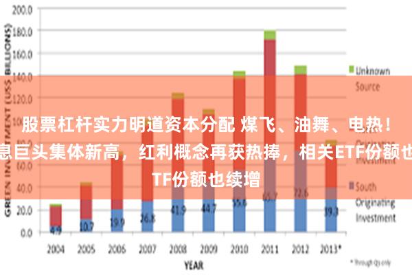 股票杠杆实力明道资本分配 煤飞、油舞、电热！高股息巨头集