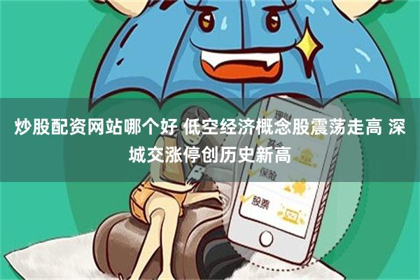 炒股配资网站哪个好 低空经济概念股震荡走高 深城交涨停创