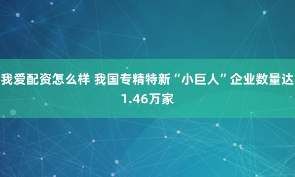 我爱配资怎么样 我国专精特新“小巨人”企业数量达1.46万家