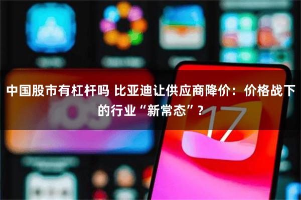 中国股市有杠杆吗 比亚迪让供应商降价：价格战下的行业“新常态”？