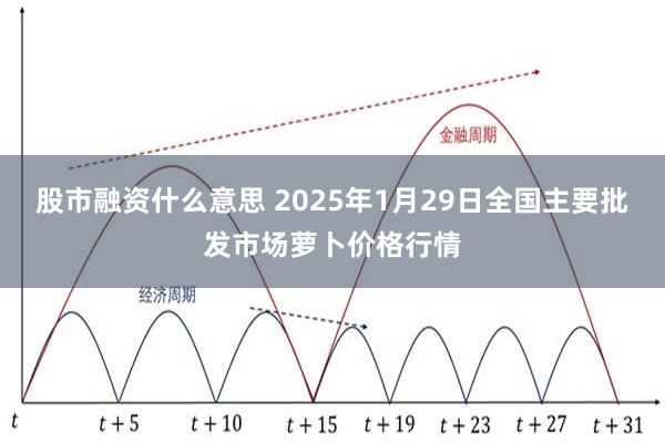 股市融资什么意思 2025年1月29日全国主要批发市场萝卜价格行情