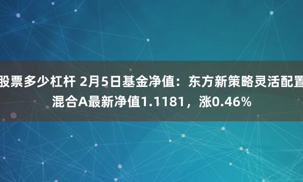 股票多少杠杆 2月5日基金净值：东方新策略灵活配置混合A最新净值1.1181，涨0.46%