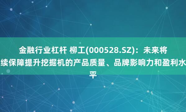 金融行业杠杆 柳工(000528.SZ)：未来将持续保障提升挖掘机的产品质量、品牌影响力和盈利水平