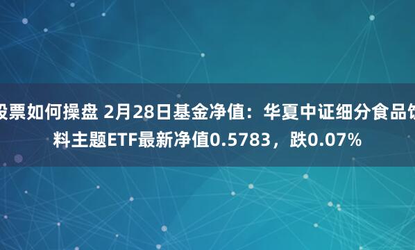 股票如何操盘 2月28日基金净值：华夏中证细分食品饮料主题ETF最新净值0.5783，跌0.07%