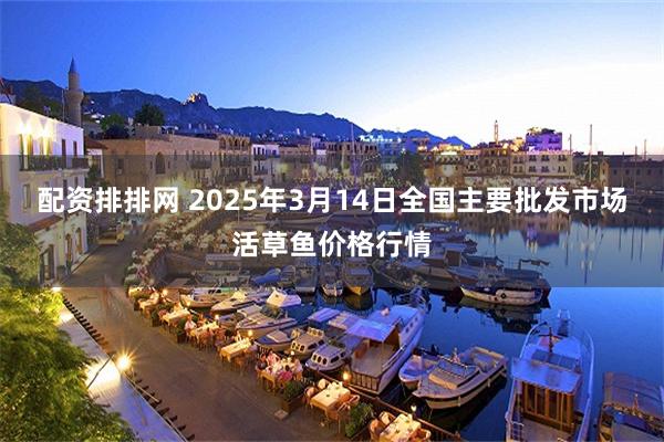 配资排排网 2025年3月14日全国主要批发市场活草鱼价格行情